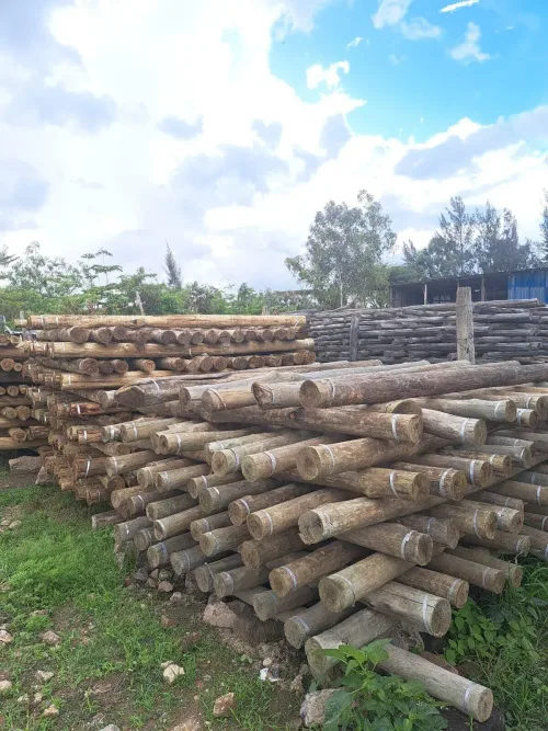 Fencing Posts